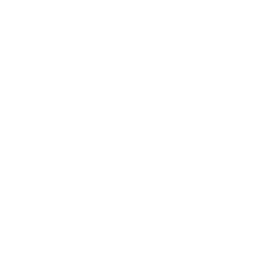 instgram Icon